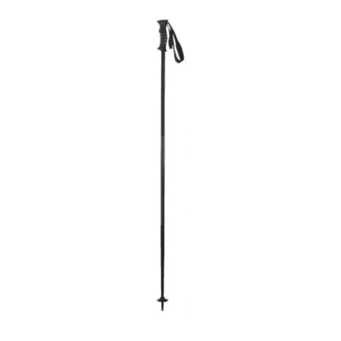 Горнолыжные палки Elan Speed Rod Black для активного отдыха, туристической одежды, обуви и снаряжения для вышки, походов, альпинизма и путешествий в интернет-магазине