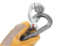 Шлямбурный крюк Petzl Coeur Bolt 10мм для альпинизма скалолазания и активного отдыха в интернет-магазине одежды и обуви для походов и путешествий
