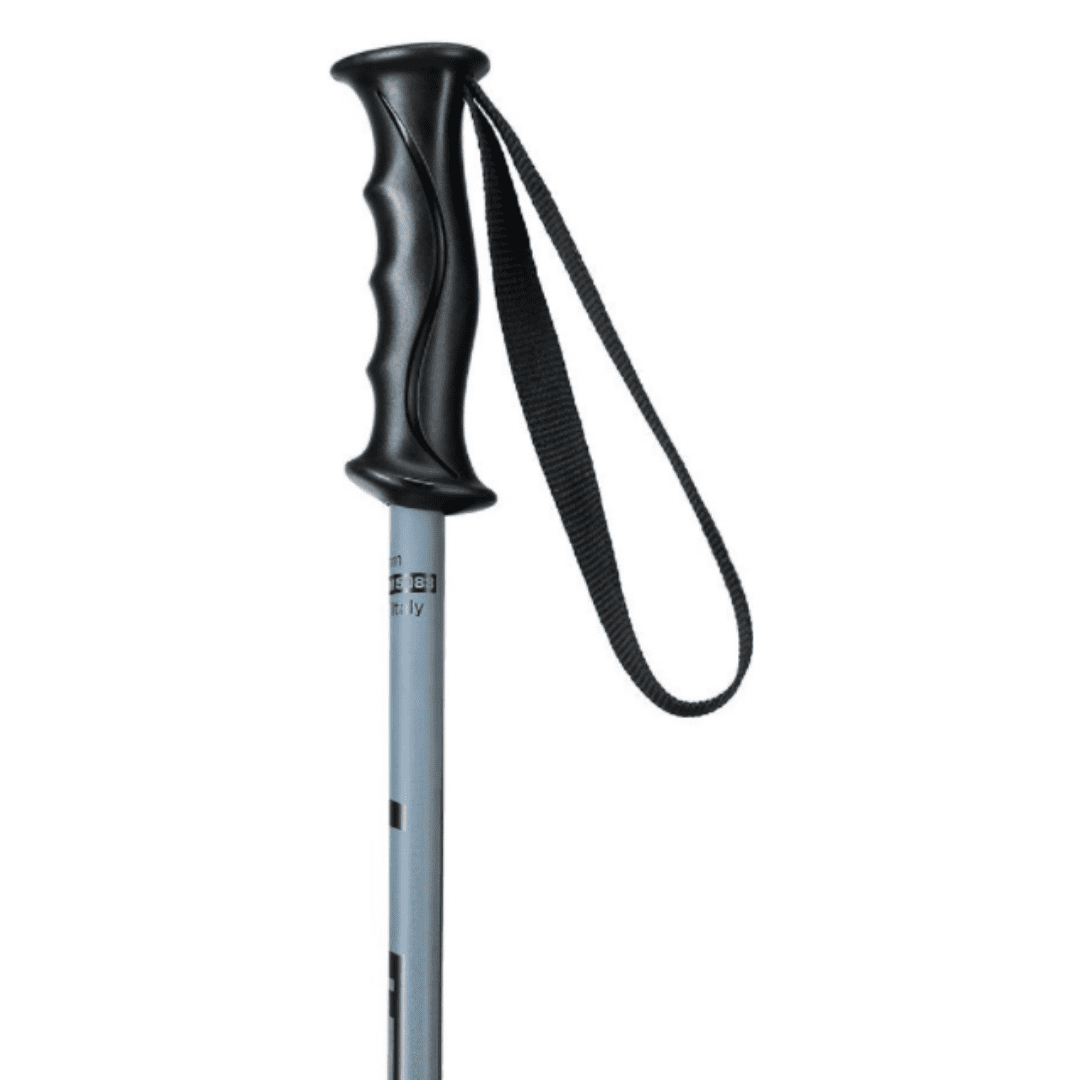 гимнастические и туристические товары для активного отдыха лыжные палки Elan Rock Rod JR детские спортивные товары для походов альпинизма и путешествий для онлайн магазина активной жизни