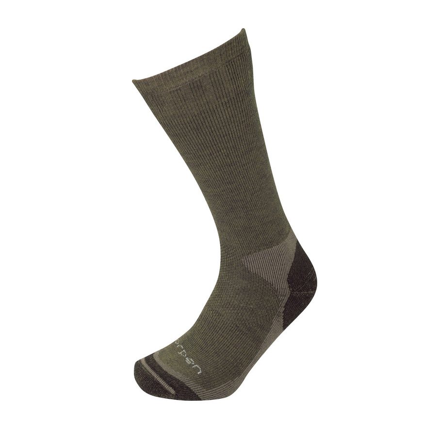 Носки Lorpen CWSSE conifer для активного отдыха походов альпинизма и путешествий в онлайн магазине спортивной одежды и обуви