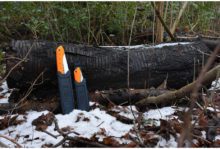 Чехол для пилы Silky Gomcase S для активного отдыха, туристической одежды и обуви, подходящий для походов, альпинизма и путешествий в интернет-магазине товаров для активной жизни