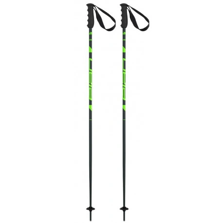 Горнолыжные палки Elan Speed Rod зеленые для активного отдыха, походов и путешествий в интернет-магазине с экипировкой для спорта и туризма