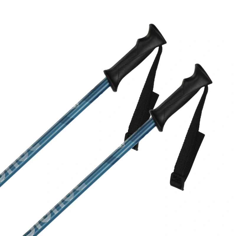 Тонкие горнолыжные палки Rossignol Tactic голубого цвета для активного отдыха, лыж, походов и путешествий в спортивном интернет-магазине