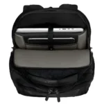 Купить активную одежду и обувь для туризма и походов рюкзак Victorinox Altmont Professional Essentials Laptop Black для путешествий, альпинизма и активного образа жизни в онлайн магазине